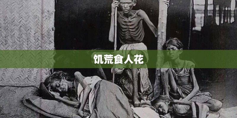二手蓝牌自卸车3万左右