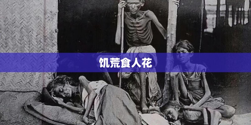 饥荒食人花 饥荒食人花