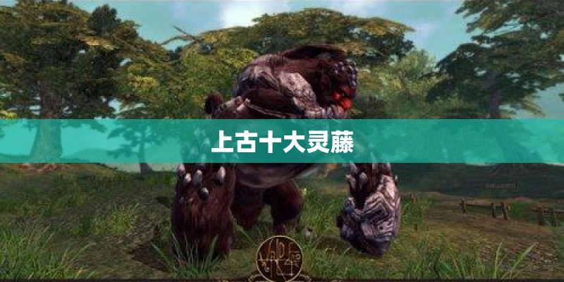 如何水培培育玛格丽特花？