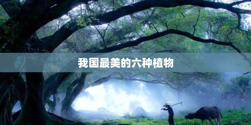 二手蓝牌自卸车3万左右