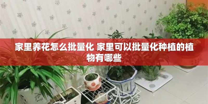 家里养花怎么批量化 家里可以批量化种植的植物有哪些 家里养花怎么批量化 家里可以批量化种植的植物有哪些