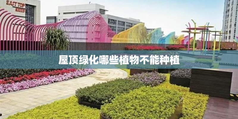 58同城上买二手车按揭贷款安全吗