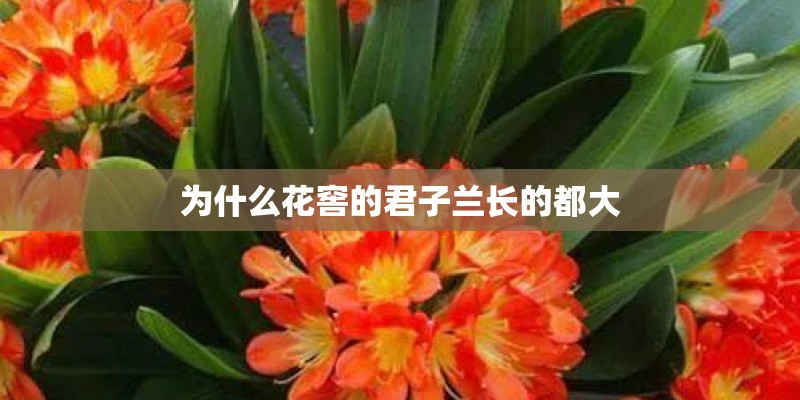 男人发三个111什么意思