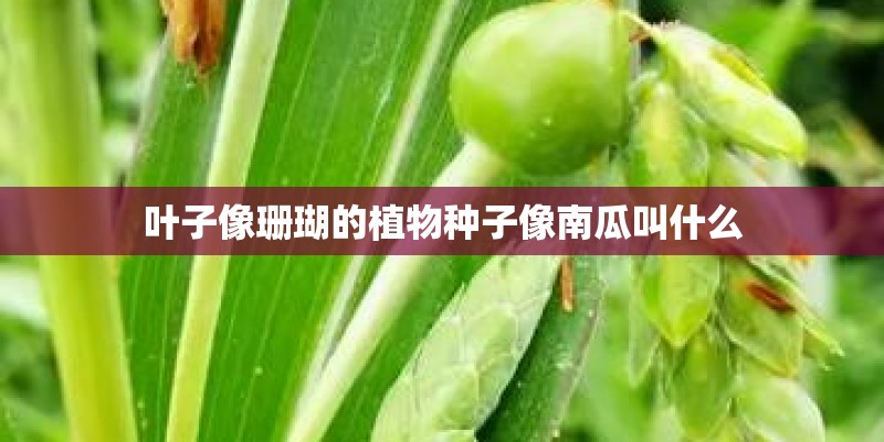 江西省有哪些风景名胜