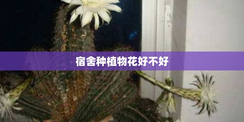 孟宪民的成果简介