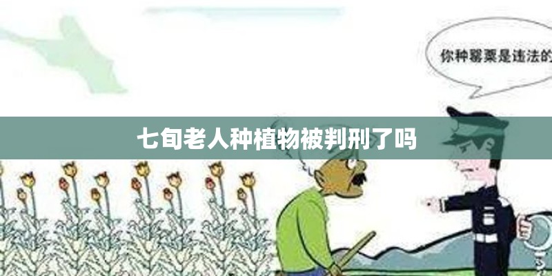 七旬老人种植物被判刑了吗