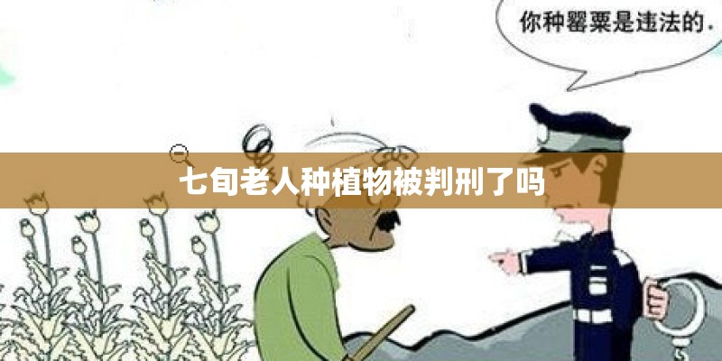 七旬老人种植物被判刑了吗