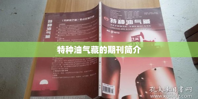 特种油气藏的期刊简介 特种油气藏的期刊简介