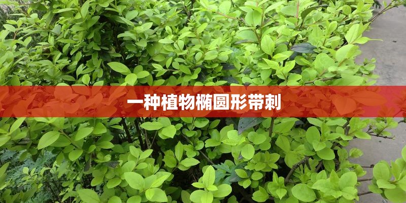 几月份可以去云南错开雨季避开旅游高峰？