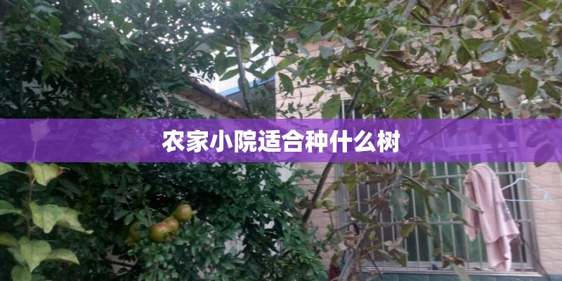 北汽212硬顶新款