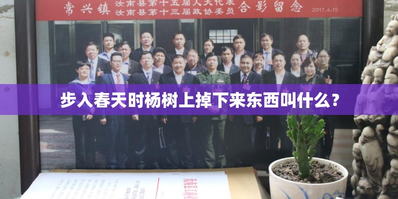 步入春天时杨树上掉下来东西叫什么? 步入春天时杨树上掉下来东西叫什么?