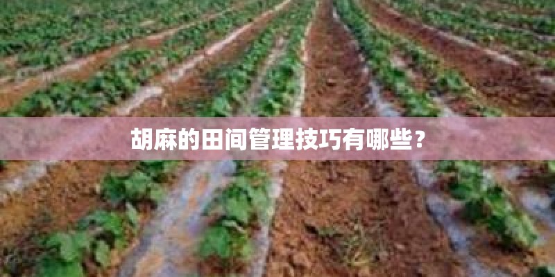 仿写爬山虎的脚写植物