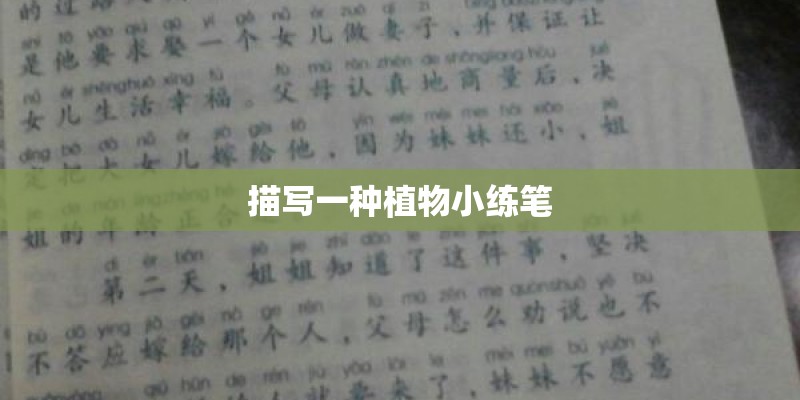 描写一种植物小练笔