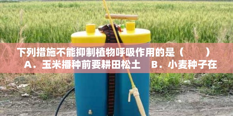 下列措施不能抑制植物呼吸作用的是（　　）    A．玉米播种前要耕田松土    B．小麦种子在入仓前要晒干