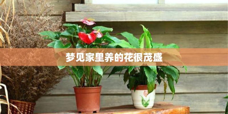 梦见家里养的花很茂盛 梦见家里养的花很茂盛