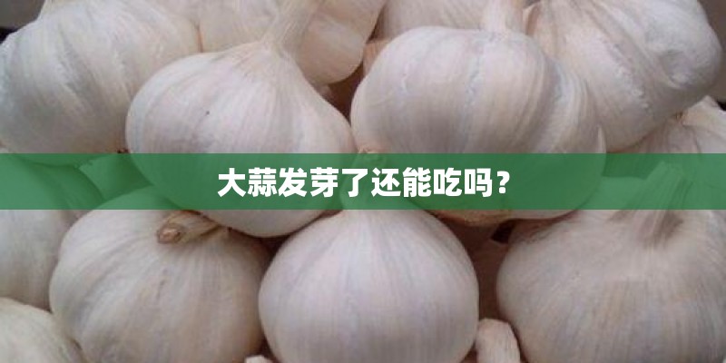 梦见在水中栽树苗的预兆