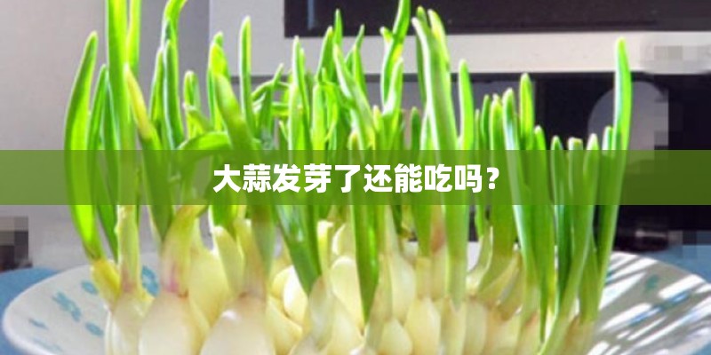 大蒜发芽了还能吃吗？