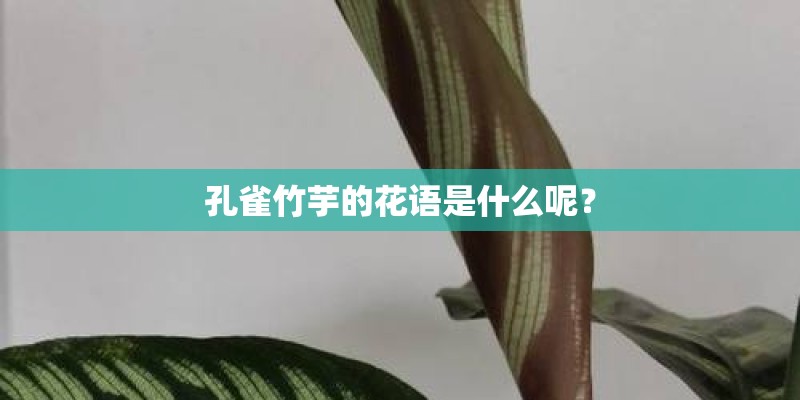 大蒜发芽了还能吃吗？
