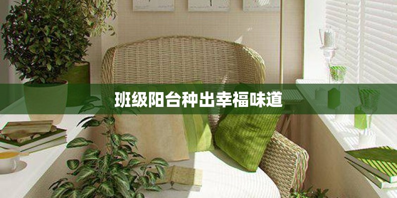怎样种植美女樱