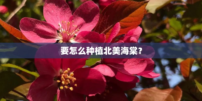 南京百家湖国际花园二手房均价多少钱一平米？