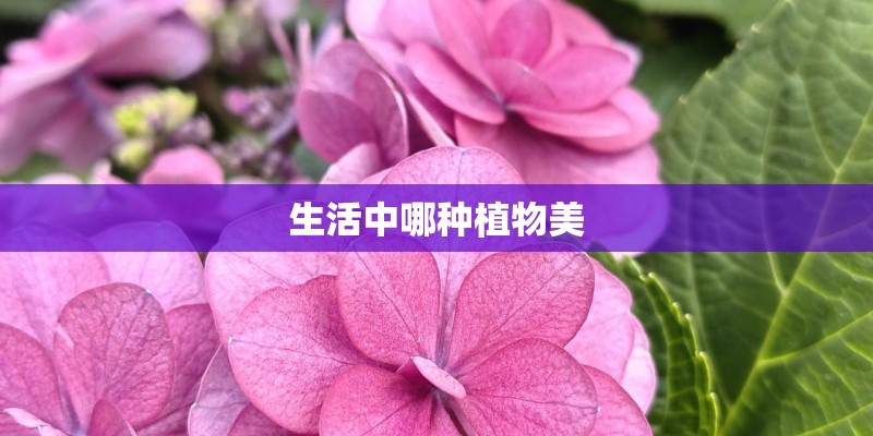 防城港天气预报15天查询准确吗