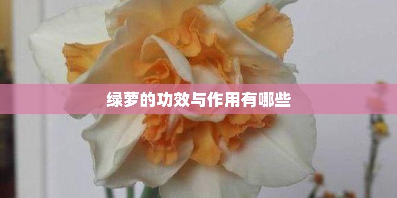 用起来比燃油版更好？_1