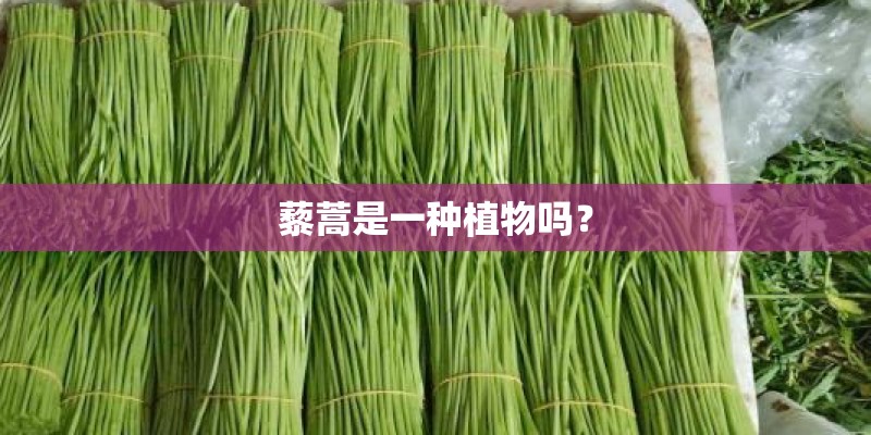 浅谈长安CS35 PLUS的影像辅助实用功能