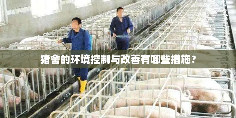 猪舍的环境控制与改善有哪些措施？