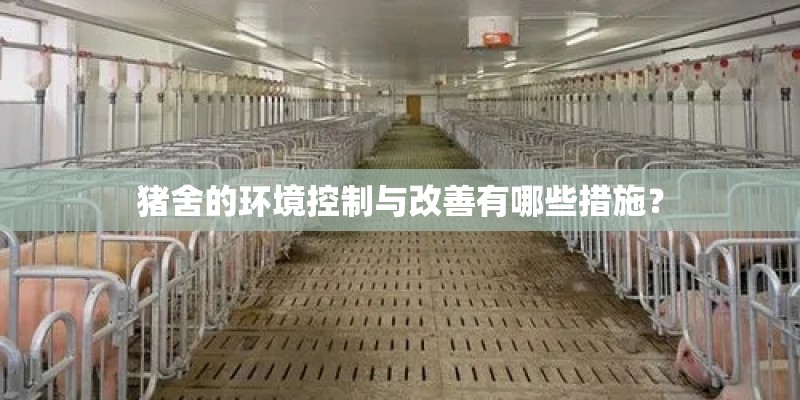 猪舍的环境控制与改善有哪些措施？