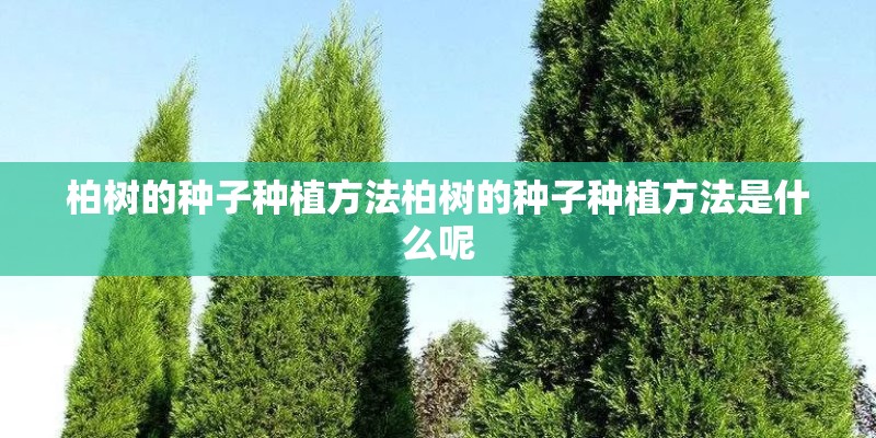 浙江卧龙集团公司的发展历程