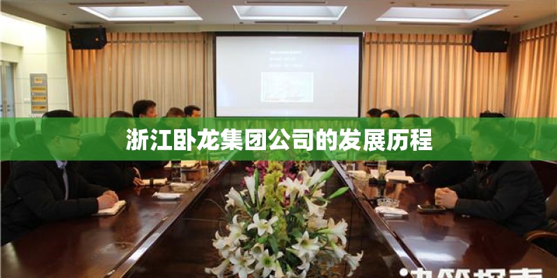 浙江卧龙集团公司的发展历程