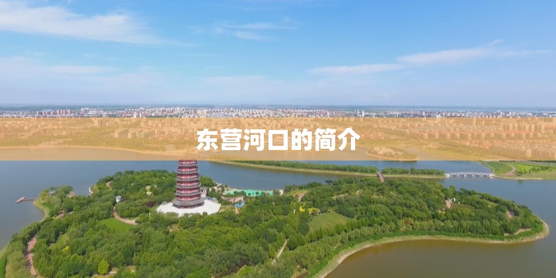 东营河口的简介