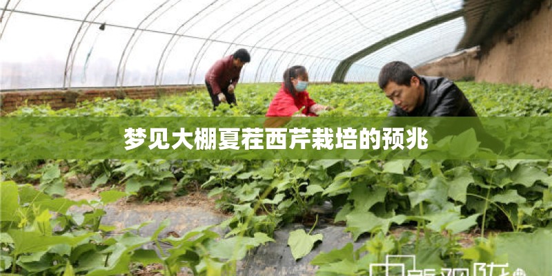 纯电动车排行榜前十名