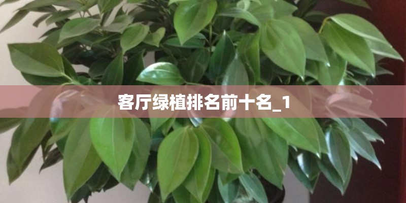 二手奥迪s3多少钱-