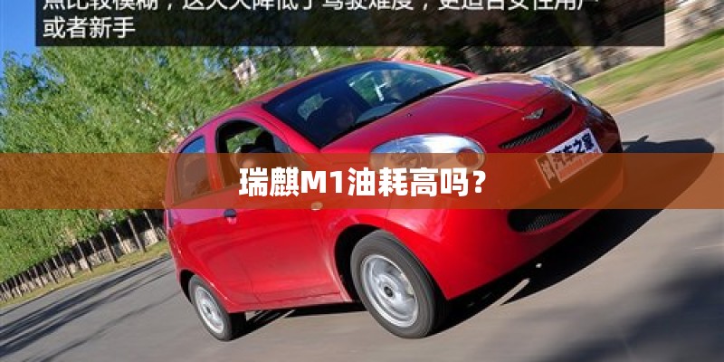瑞麒M1油耗高吗？