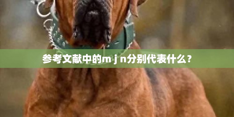 参考文献中的m j n分别代表什么？