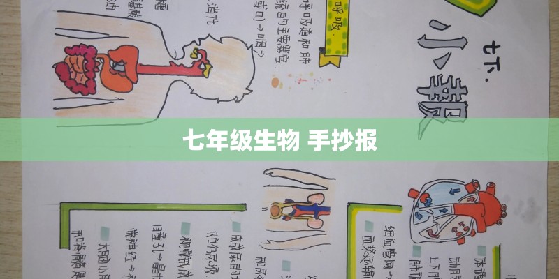 七年级生物 手抄报