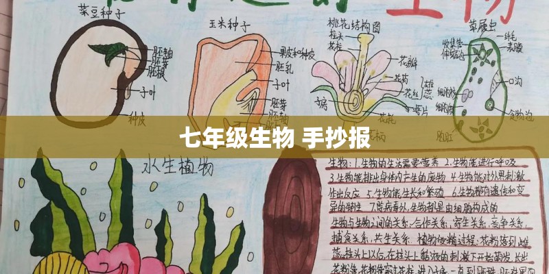七年级生物 手抄报