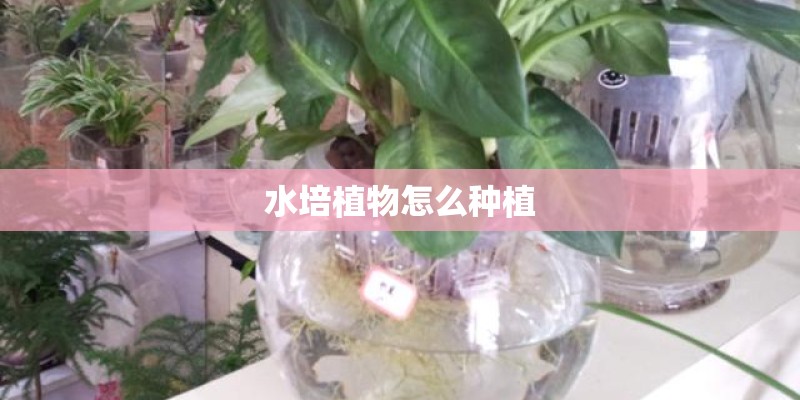 黄山学院教务管理系统