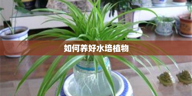 物理学报投稿