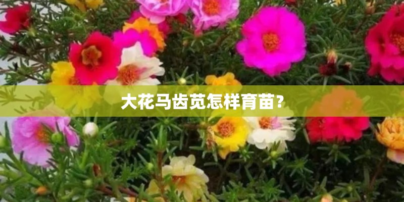 经典3至6岁简短小故事（十篇）