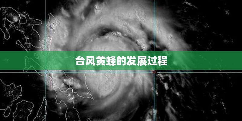 台风黄蜂的发展过程