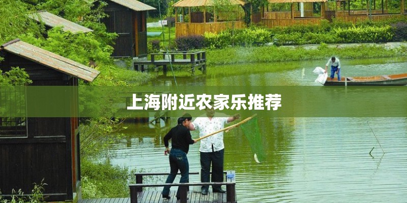 空气凤梨如何长的快