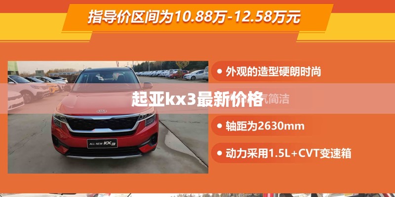空气凤梨如何长的快