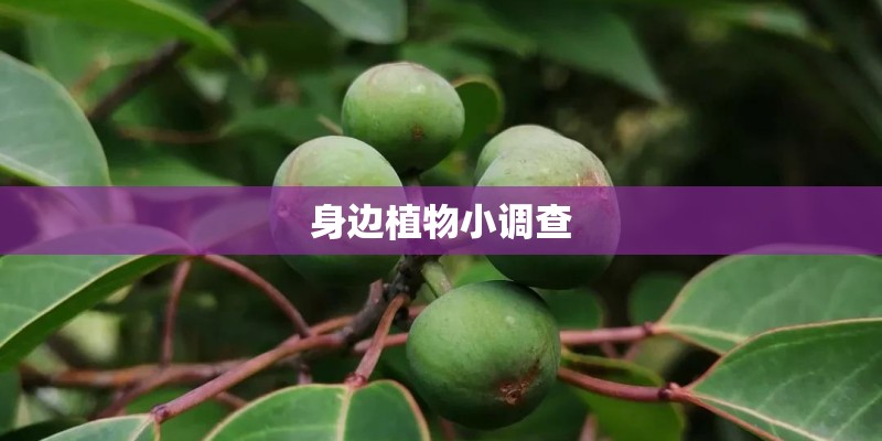 教育学
