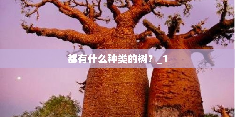 教育学
