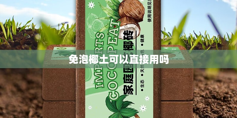 请教矮牵牛经典颜色或系列
