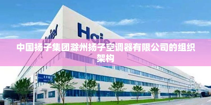 空气凤梨如何长的快