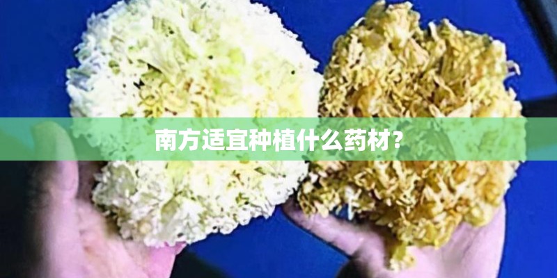 南方适宜种植什么药材？