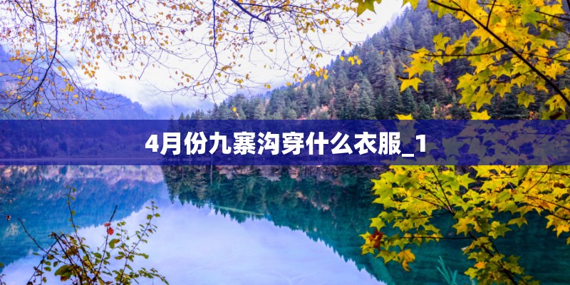 空气凤梨如何长的快